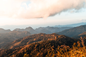 练dp是什么意思